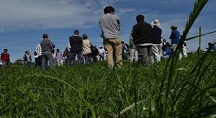 Introducción al Marco Ambiental y Social del Banco Mundial, aplicable al proyecto SARU