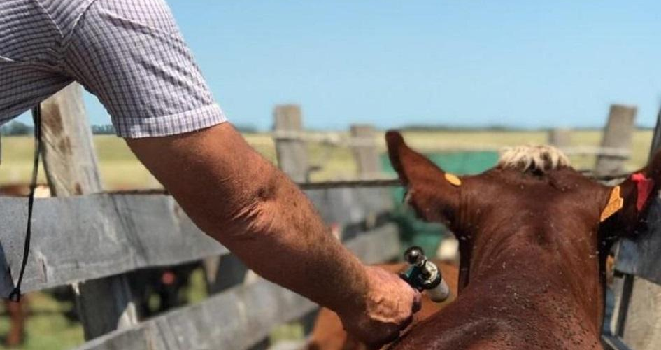 Programa Nacional de Residuos Biológicos