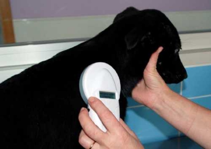 Curso de Operadores RENAC 3ra Edición 2022