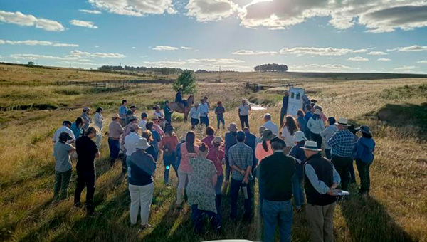 Profesionales y Técnicas/os