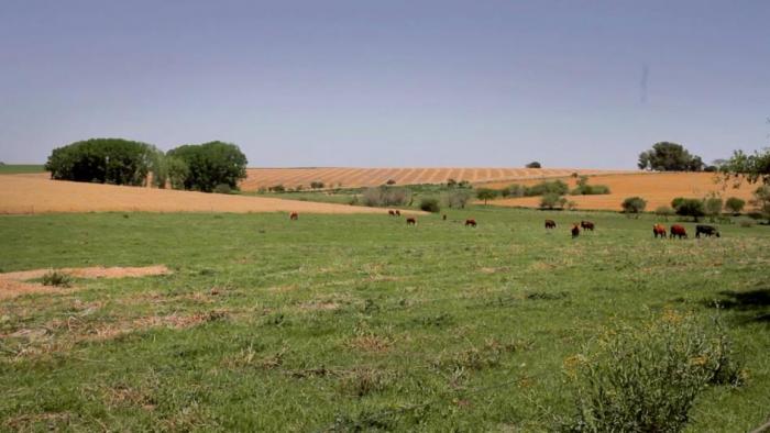 Dirección General de Recursos Naturales