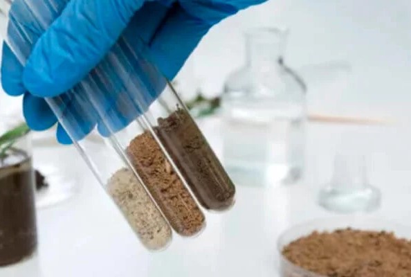 Encuesta: Hacia una red nacional de laboratorios que prestan servicio de análisis de suelos.